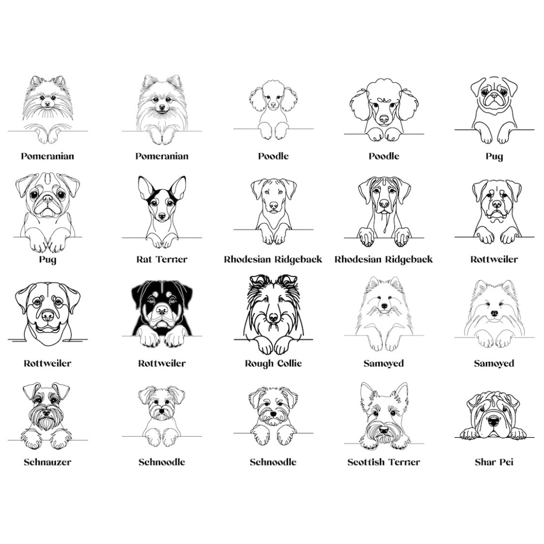 Personalised Dog Name Necklace