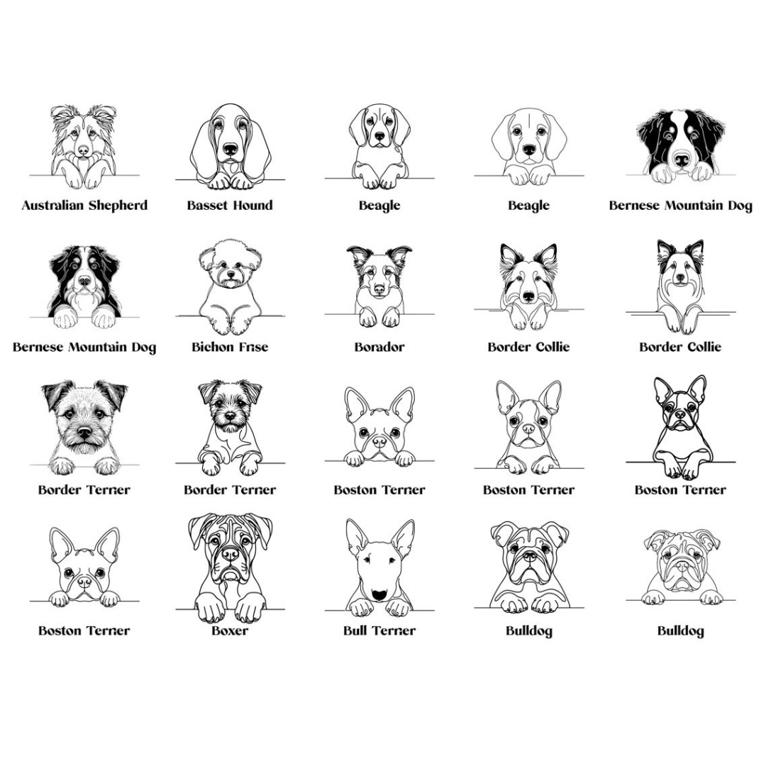 Personalised Dog Name Necklace