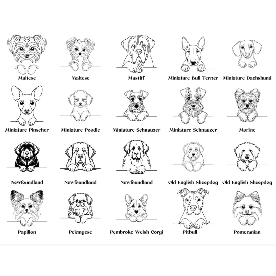 Personalised Dog Name Necklace