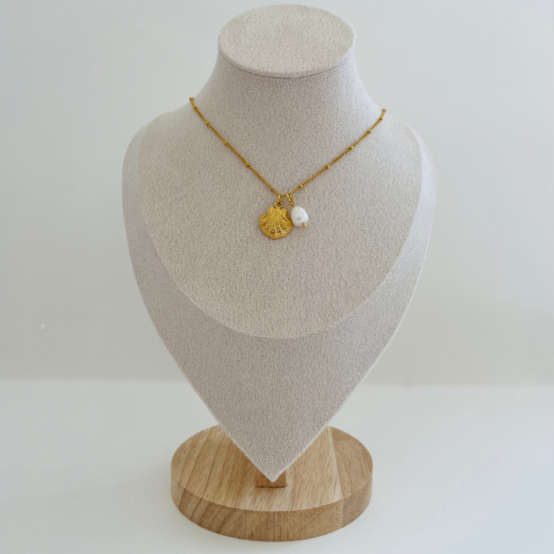 Seashell Necklace