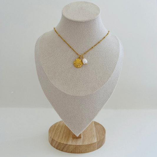 Seashell Necklace