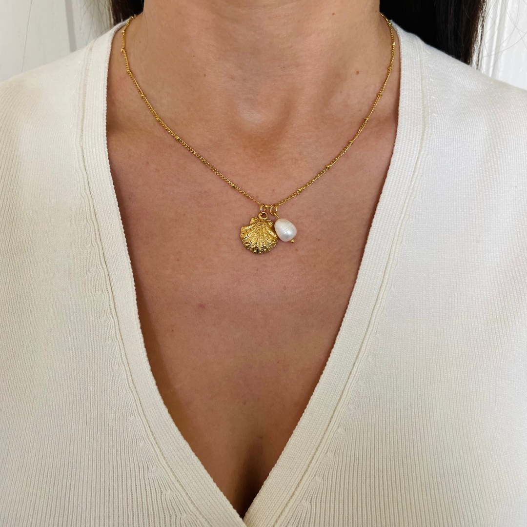 Seashell Necklace