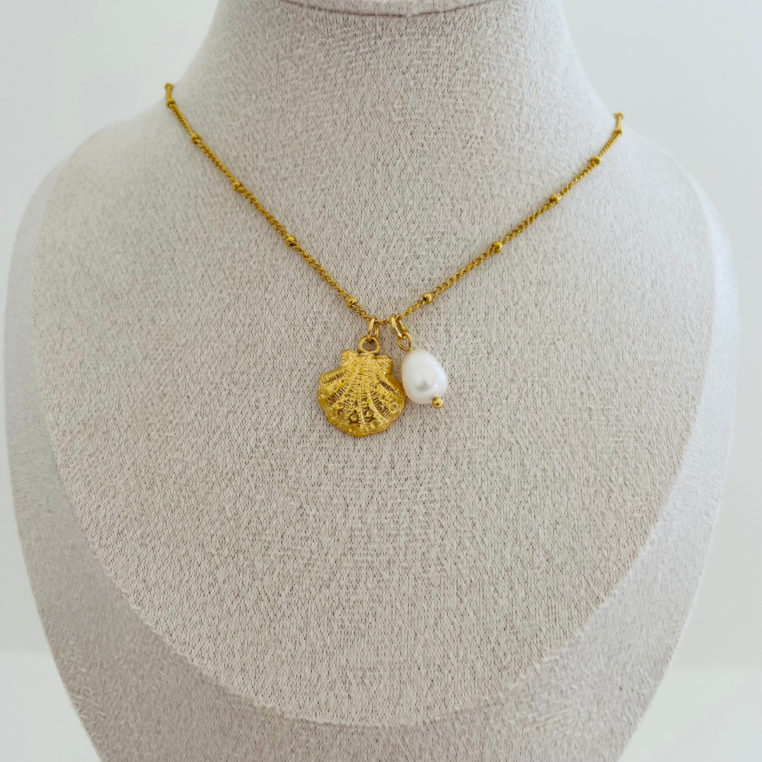 Seashell Necklace