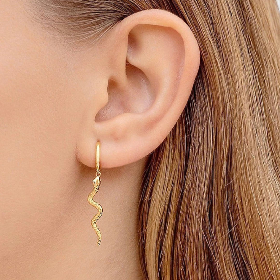 Long Snake Earrings